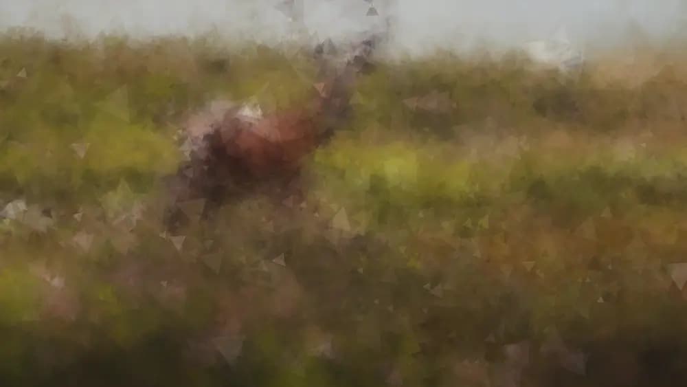 Grasslands