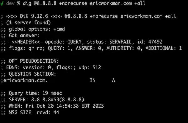 Raw dig output replicating Julia's demo